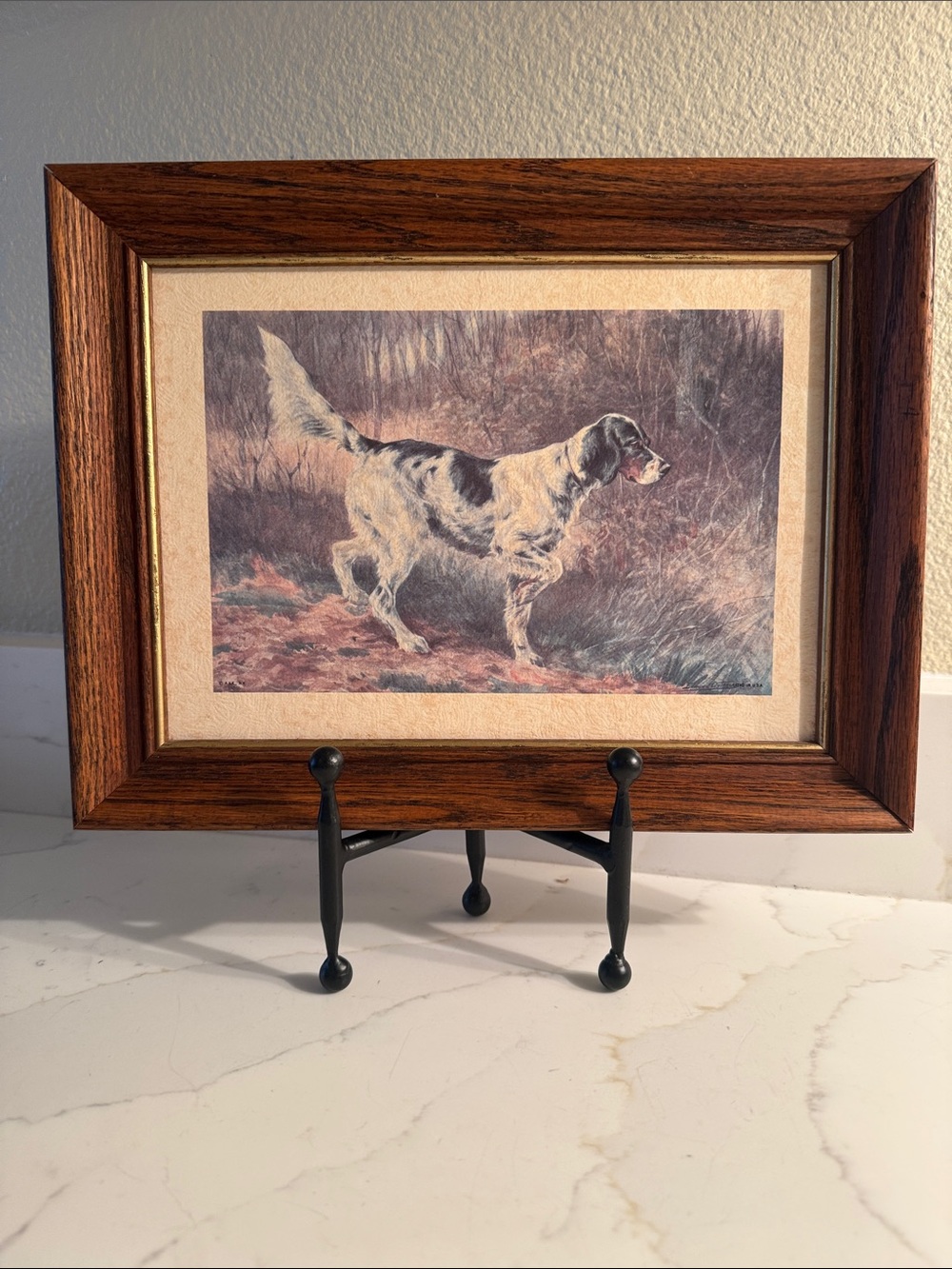 Vintage Sporting Dog Art Print Wooden Frame No Glass